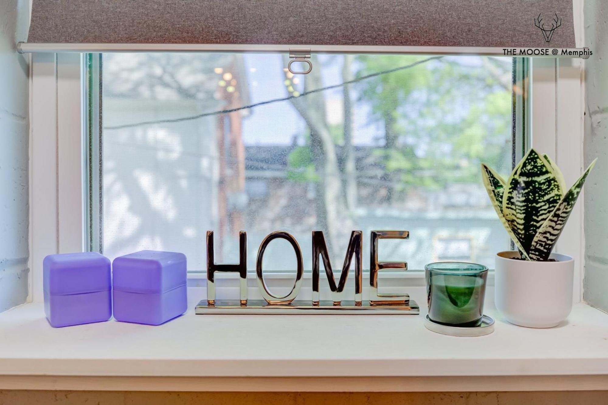 멤피스 The Moose #11 - Luxe Modern Loft With King Bed, Free Parking & Wi-Fi 아파트 외부 사진